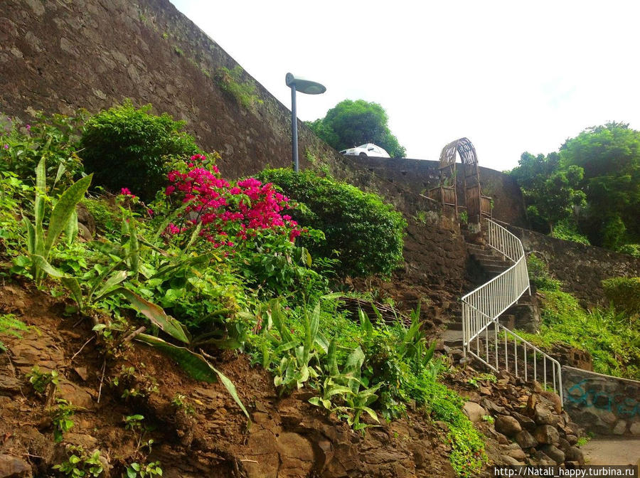 Ущелье ля Ривьера Сен-Дени, Реюньон