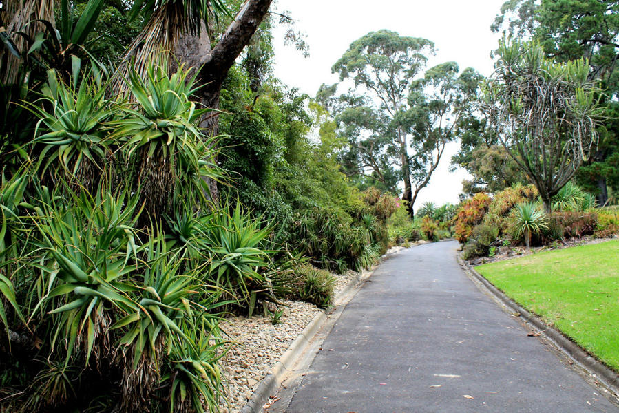 Самая зелёная часть самого большого парка Мельбурна