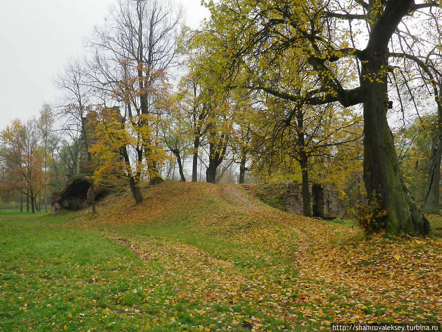 Орловская руина Стрельна, Россия