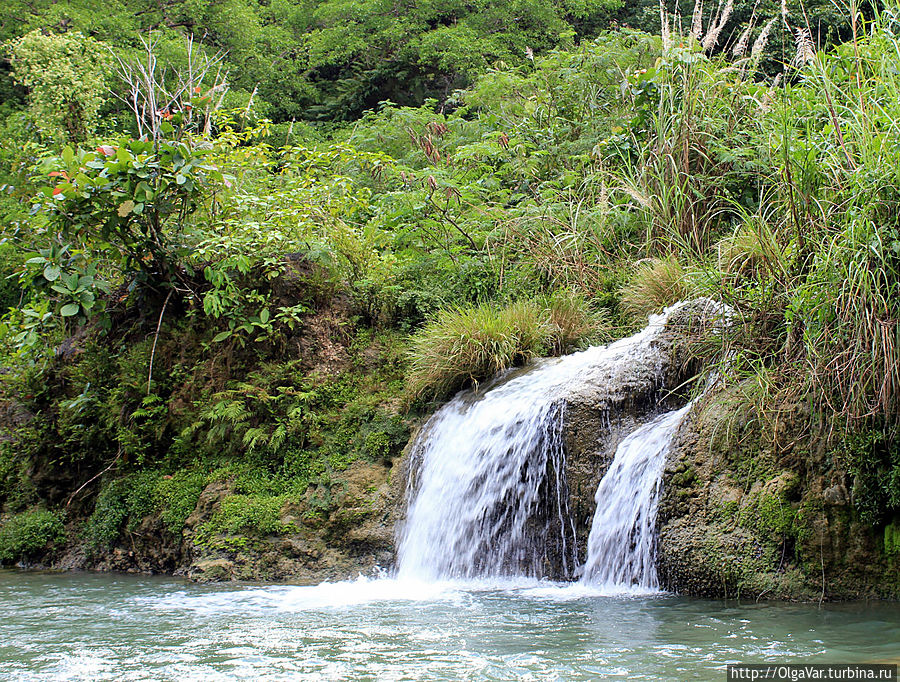 *Из зеленых зарослей то тут то там тоненькими струйками вытекала вода, образуя миниатюрные водопадики Остров Бохол, Филиппины