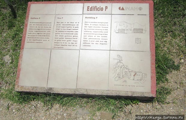 Из интернета