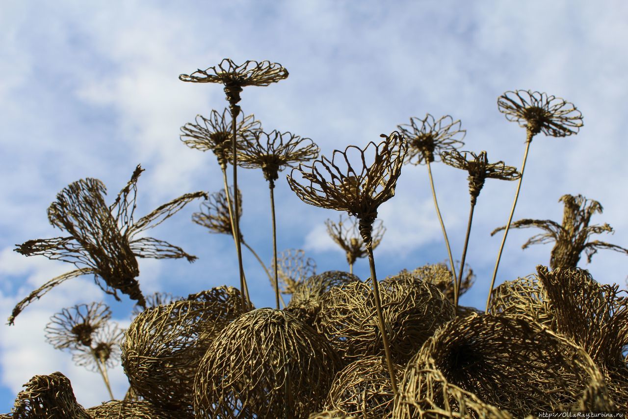 Moscow Flower Show 2017. Фотоотчёт и впечатления. Москва, Россия