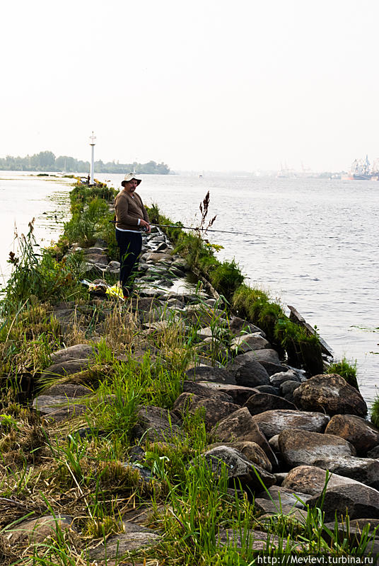 Международная парусная регата «The Tall Ships Races 2013» Рига, Латвия