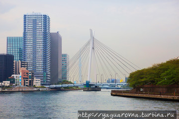 Белый мост через реку Сумида, фото из интернета. Токио, Япония