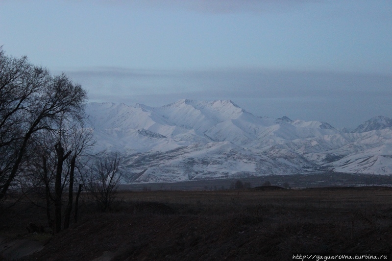 Музей-заповедник Бурана Бурана (Баласагун), Киргизия