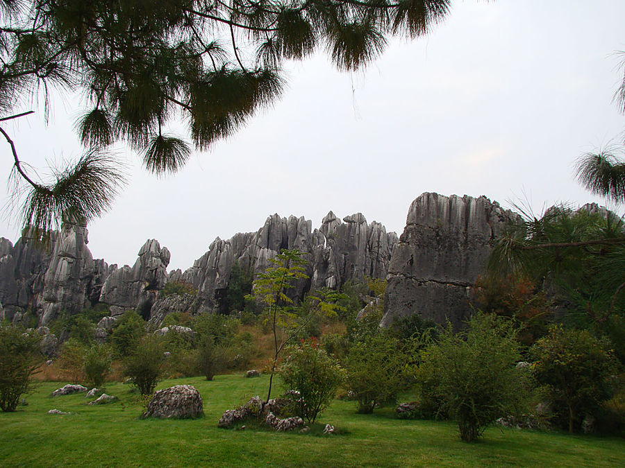 Осень в Каменном лесу Куньмин, Китай