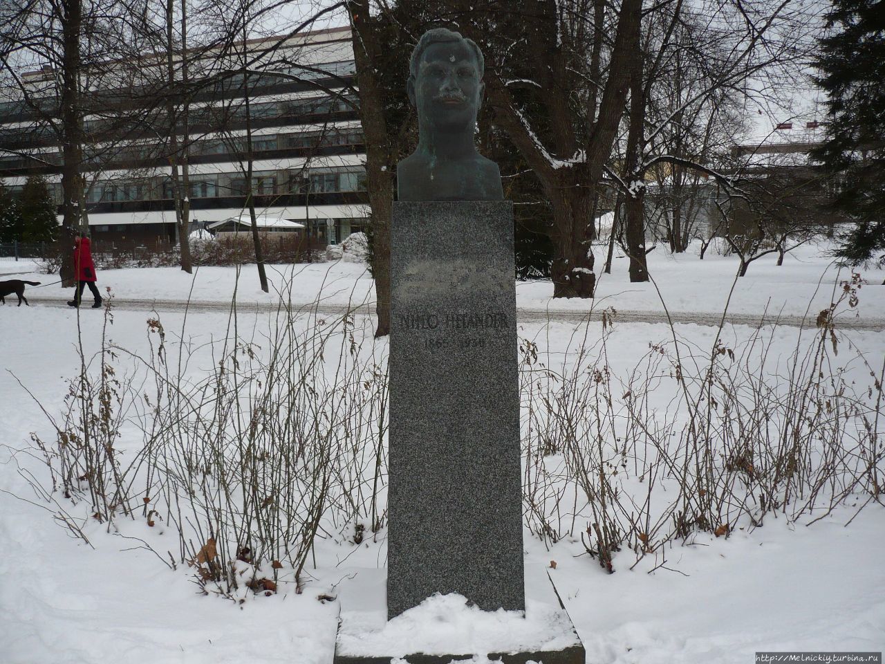 Бюст Ниило Хеландера / Bust Niilo Helander