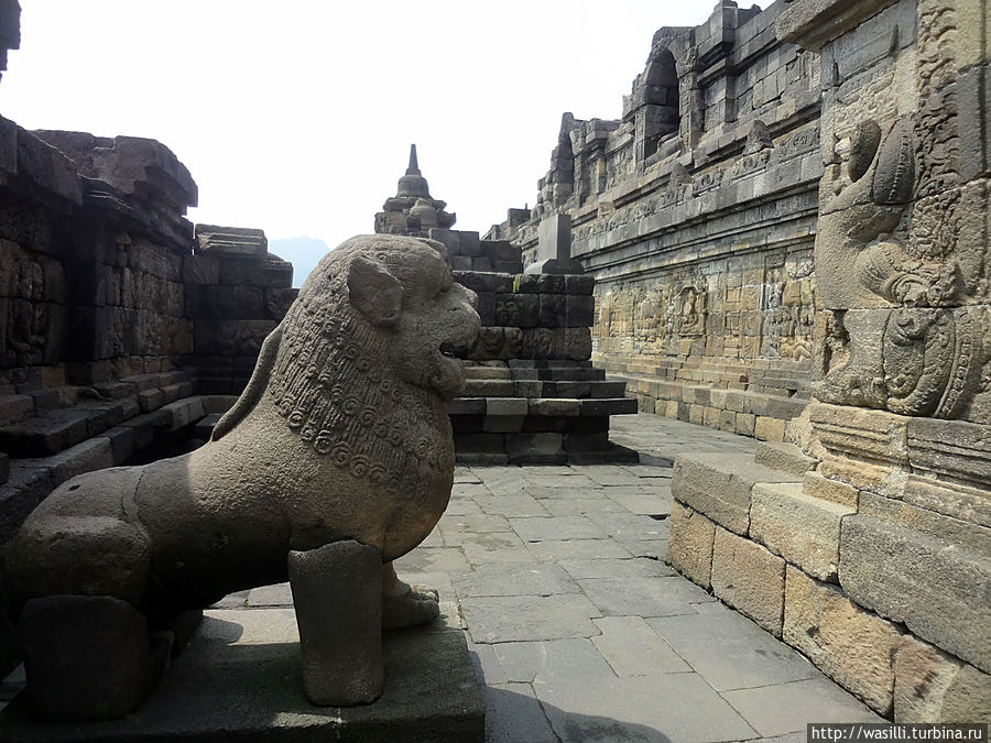 Лев явно что-то охраняет ... наверно головы Будд. Боробудур. Ява, Индонезия
