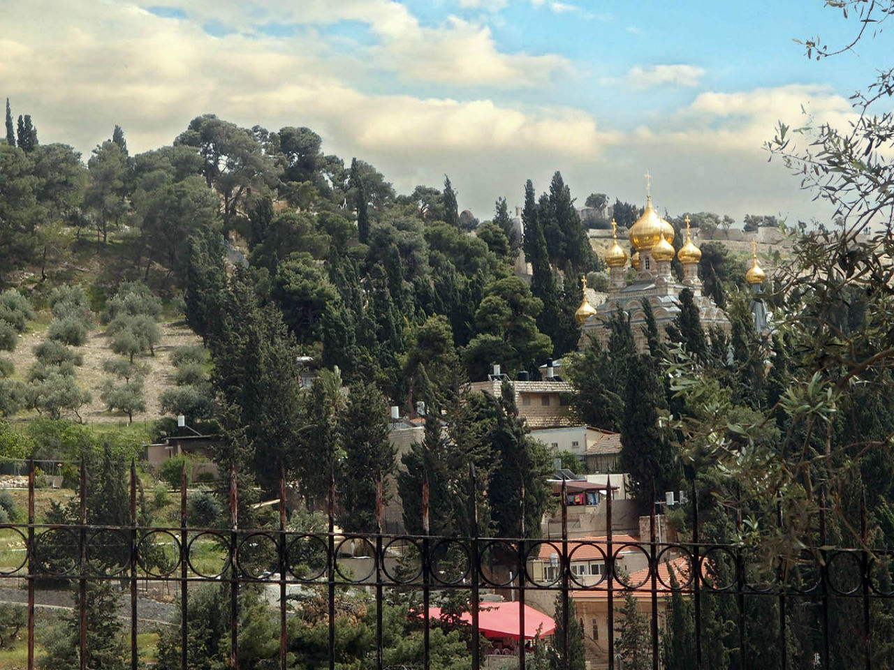 Ботанический сад Иерусалима и Стена Плача в праздничный день Иерусалим, Израиль