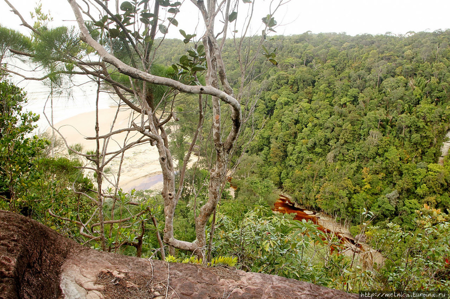 Заманчивое ущельице, но...пора в обратный путь Бако Национальный Парк, Малайзия