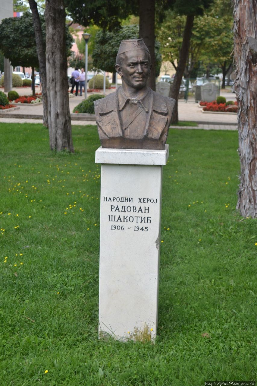 Народный герой Югославии Радован Шакотић