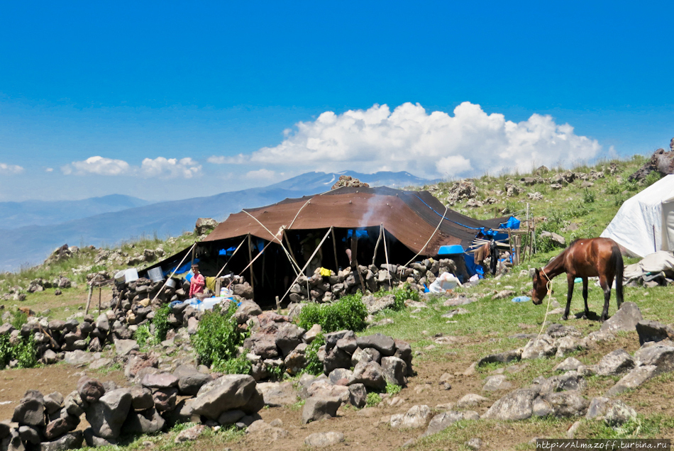 Современные кочевники-курды на склонах Арарата Гора Арарат (5137м), Турция