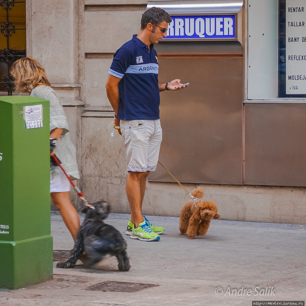 Над Барселоной Барселона, Испания