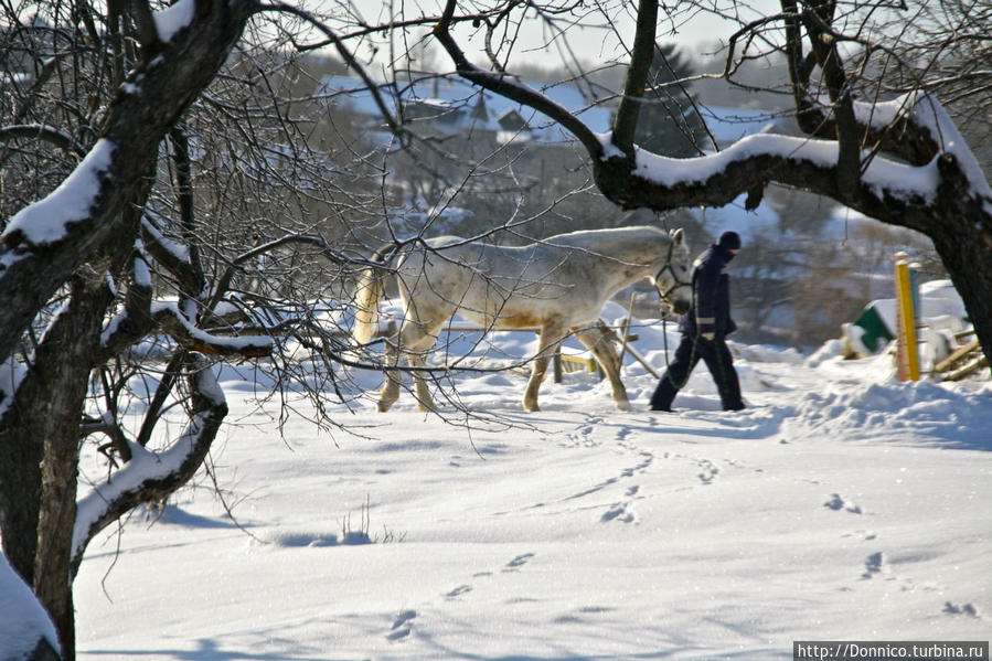 Мудрый Лев и Зеленая Палочка Счастья Ясная Поляна, Россия