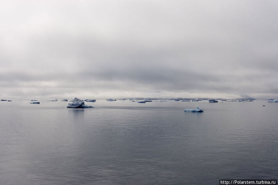 Антарктика. Южный океан. Айсберги и ледники Антарктида