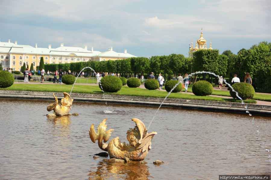 Белые ночи Северной Пальмиры, также парки и дворцы пригорода Санкт-Петербург и Ленинградская область, Россия