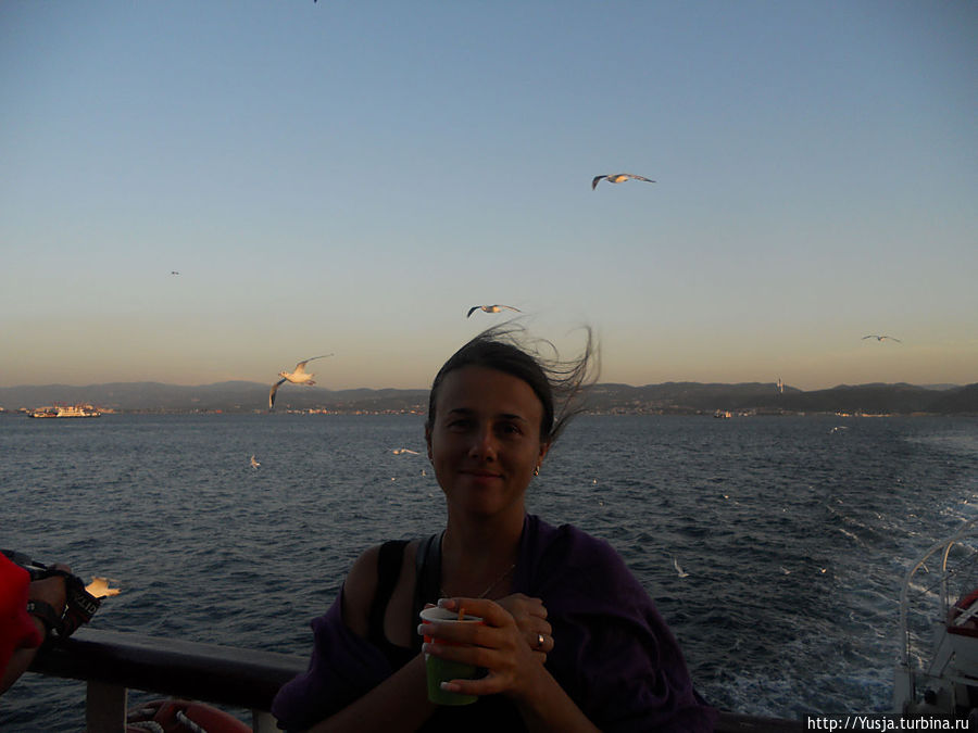 В кафе продают специальные пакетики с хлебом и семечками, которыми можно кормить чаек. За каждым паромом летит просто толка чаек. И, очень страшно, когда они вырывают хлеб прямо из рук))) В общем, путь между континентами — сплошной аттракцион))