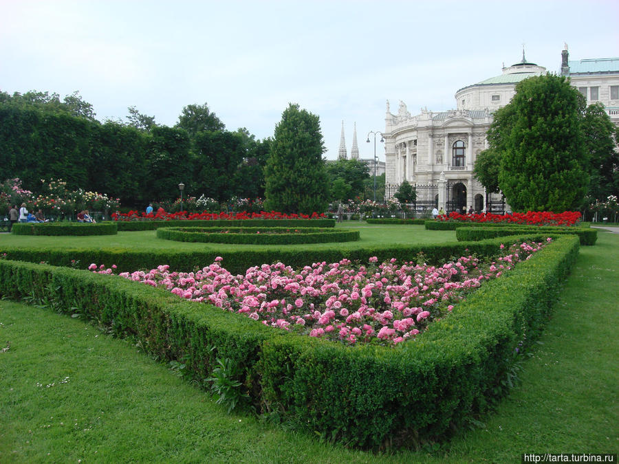 Вена, утопающая в зелени садов и в благоухании роз. Вена, Австрия