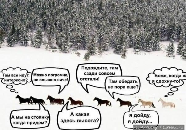 Туристический позитив.