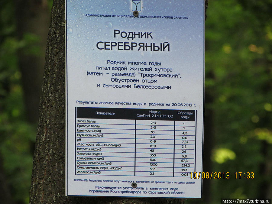 Немного погуляем по лесу Саратов, Россия