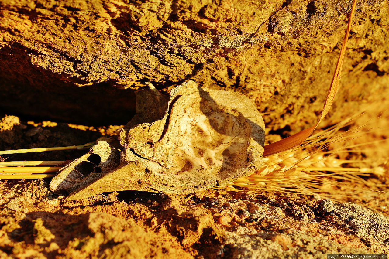 Воспоминания #3 Санкт-Петербург и Ленинградская область, Россия