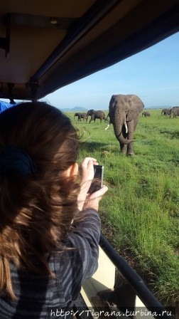 Путешествие в Африку. Танзания. Танзания