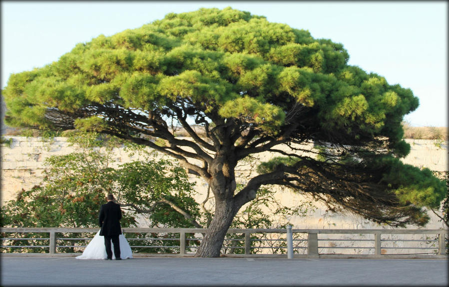 г.Мдина (Мальта)