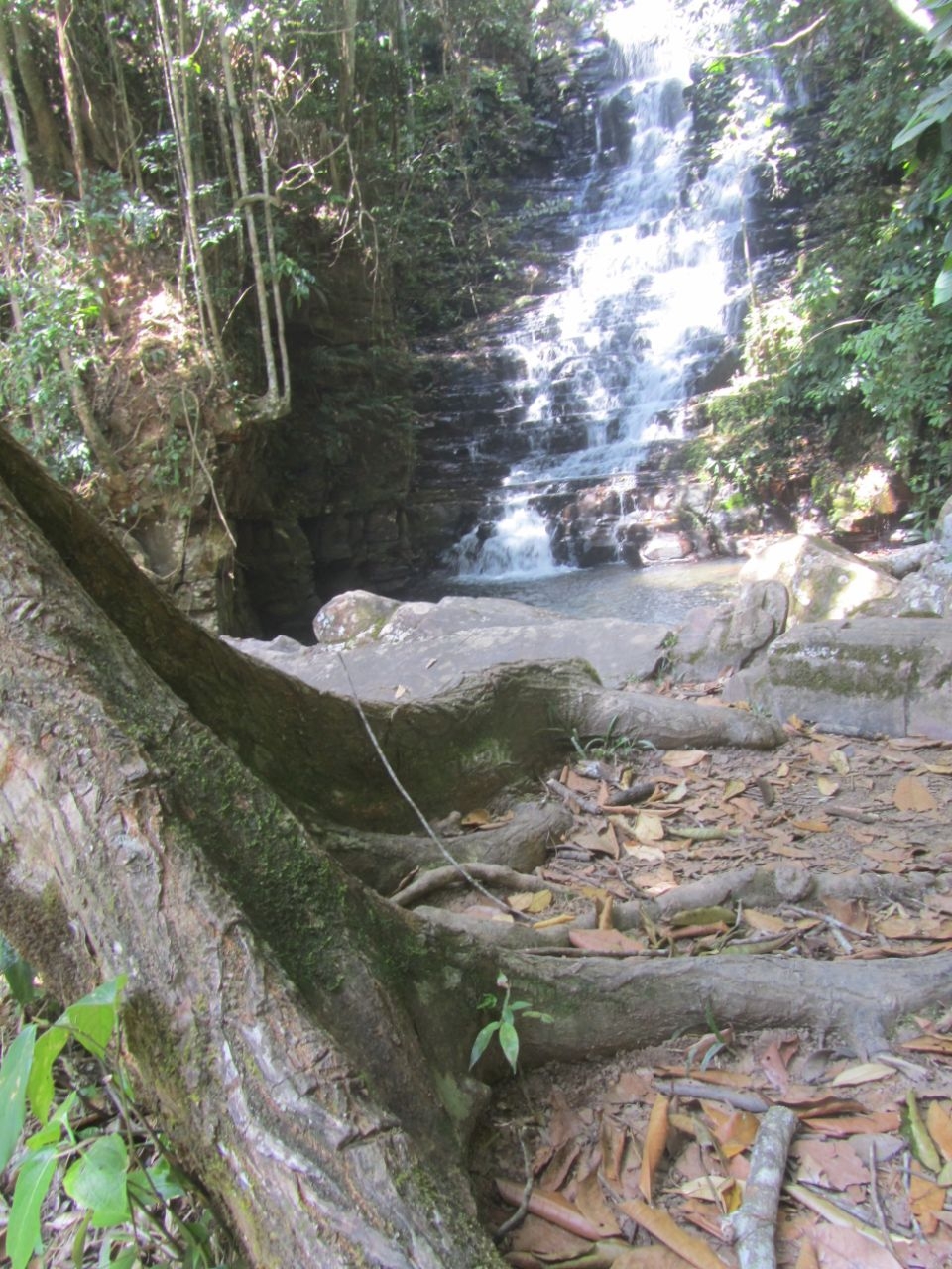 Водопад Фата Невесты Национальный парк Канайма, Венесуэла