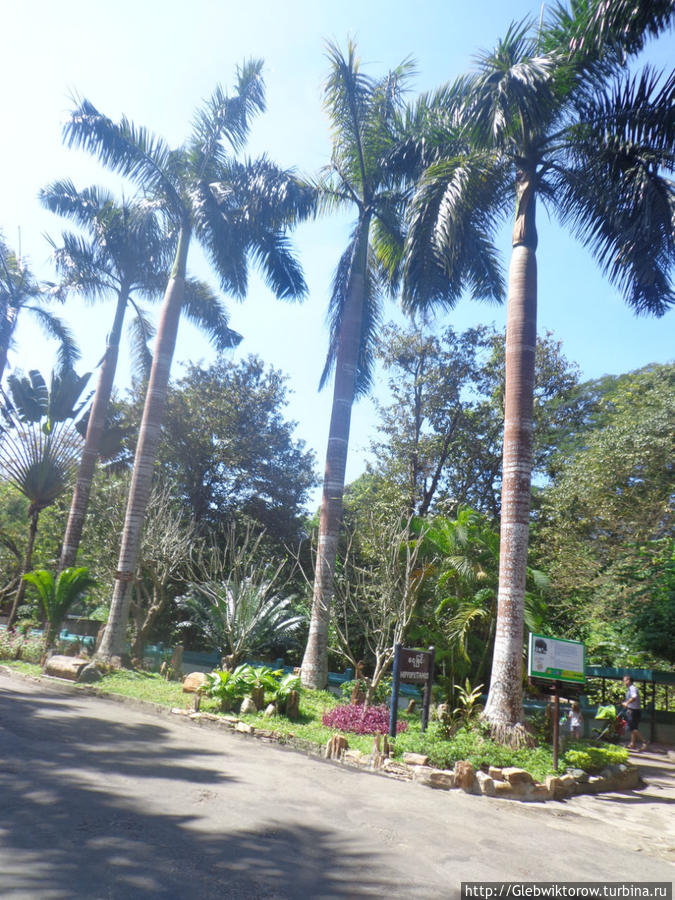 Yangon Zoological Garden Янгон, Мьянма