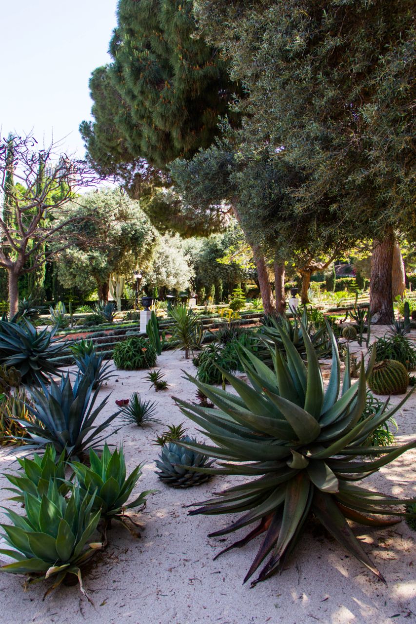 Хайфа. Бахайские сады Хайфа, Израиль