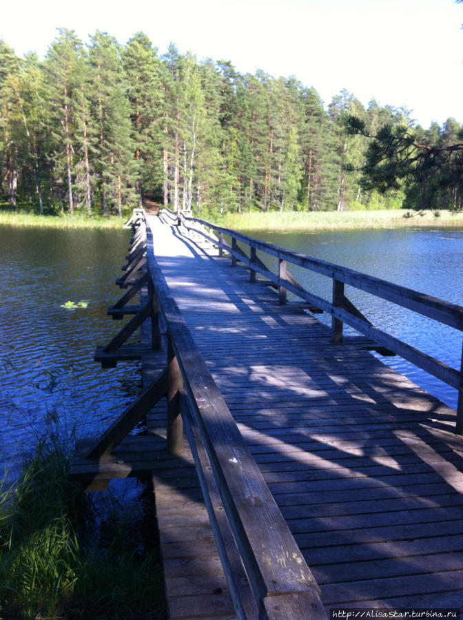 Агротерапия по-фински. День пятый. Вода Пункахарью, Финляндия