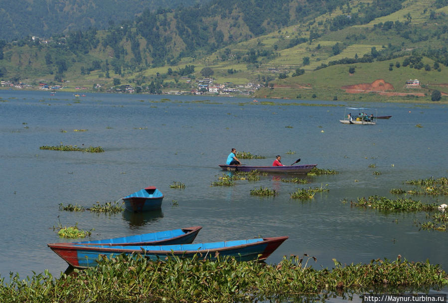 Жизнь    озера... Покхара, Непал
