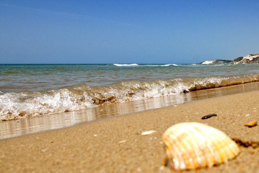 Еще одна отличительная особенность пляжа — здесь под ногами какое-то невероятное количество красивых ракушек. Сицилия, Италия