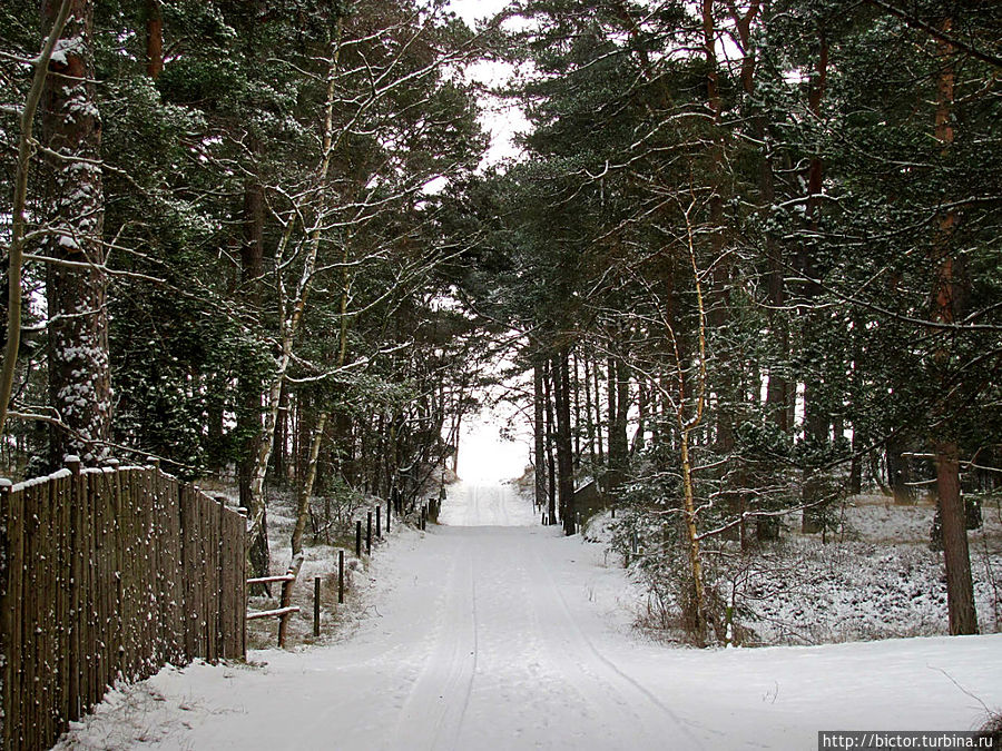В Ахус за Абсолютным качеством Округ Сконе, Швеция