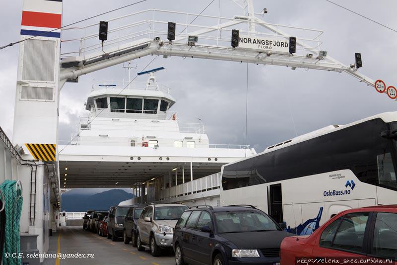 36. Тут и наш большой норвежский автобус — гигант в окружении всякой мелюзги. Гейрангер - Гейрангерфьорд, Норвегия