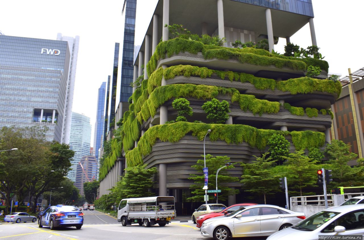 Сингапур – наше зелёное будущее
