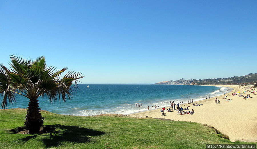 Побережье Тихого океана в курортном городе Винья-де-Мар