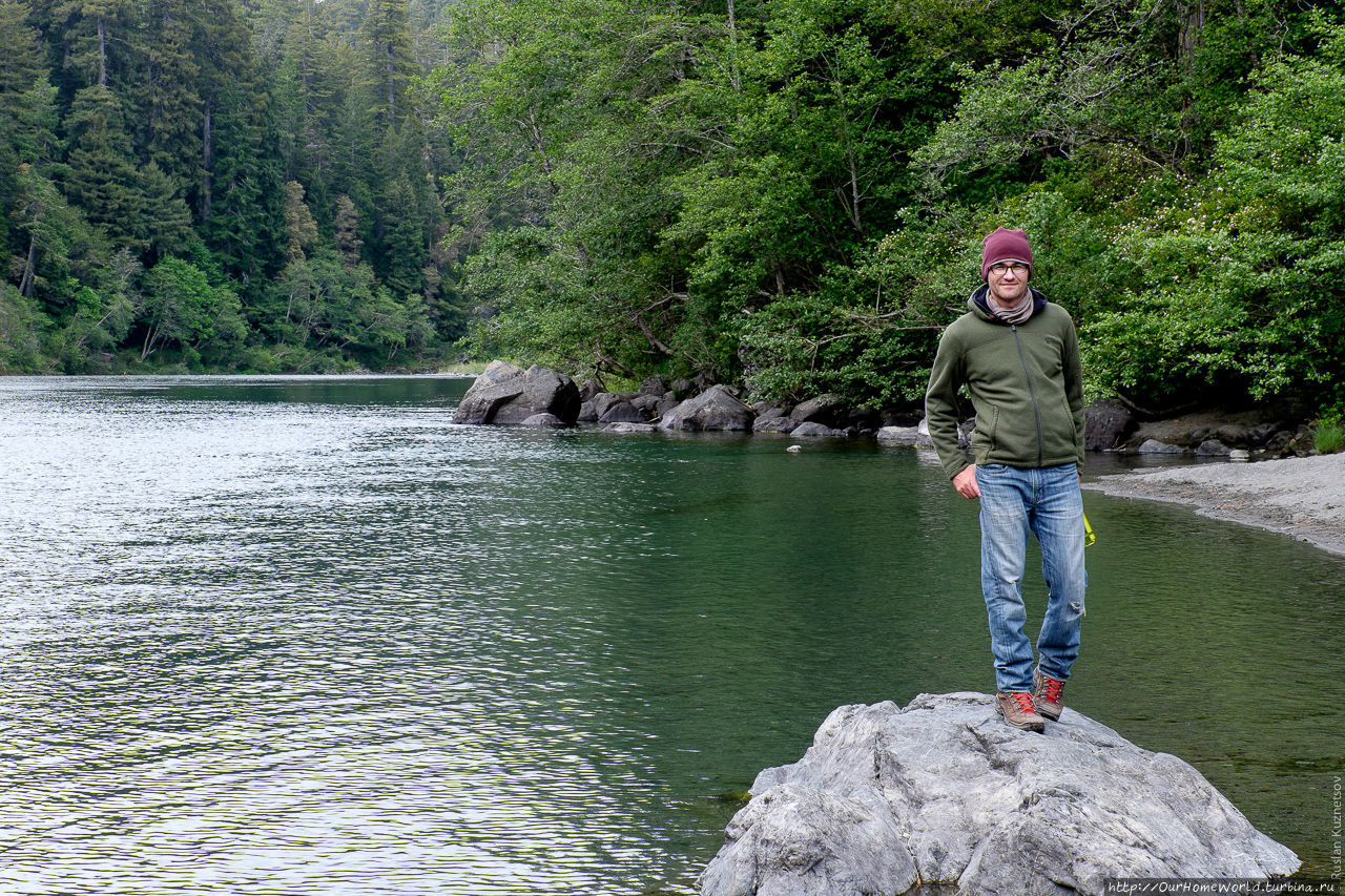 25. Под вечер прибываем в Redwood National Forest, парк, где растут самые большие и высокие секвойи в мире. После веселых гавайских джунглей и тропических мутных рек спокойствие и величие северной природы завораживает.