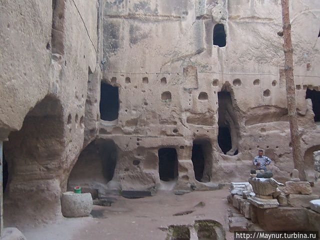 В самом центре двора растет тоненькое высокое деревце.У меня вообще создалось впечатление , что оно высохшее, а может просто осень на дворе?