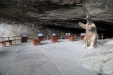 Вход в главную пещеру Милодон