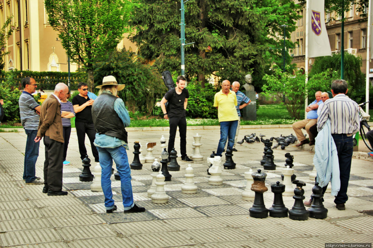 Местная живая достопримечательность. Мужики гоняют шахматы на Площади Освобождения,  австро — венгерской части города