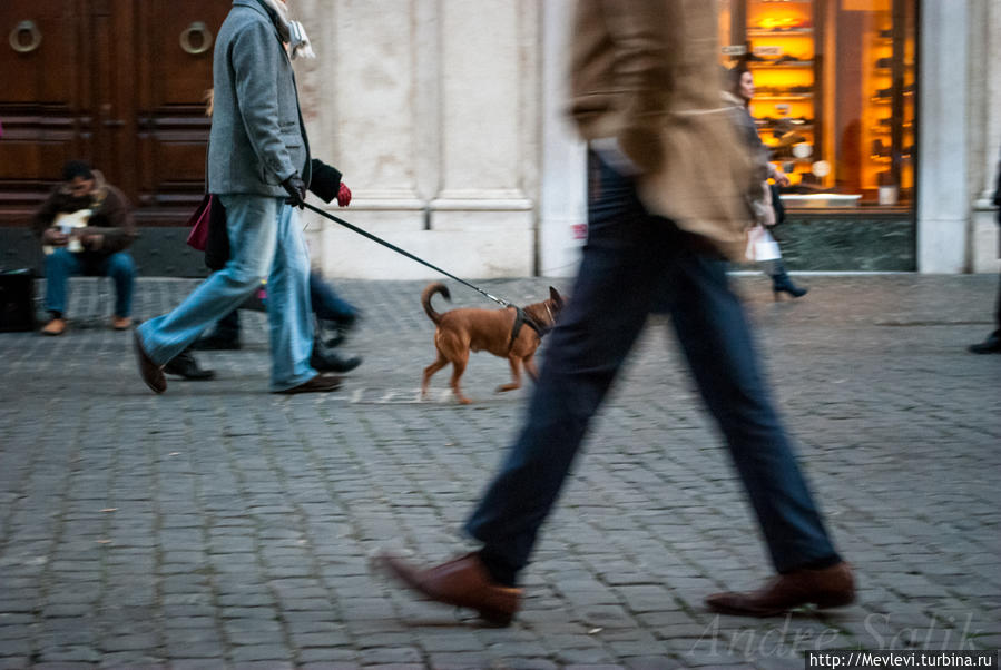 Рим вечерний Рим, Италия