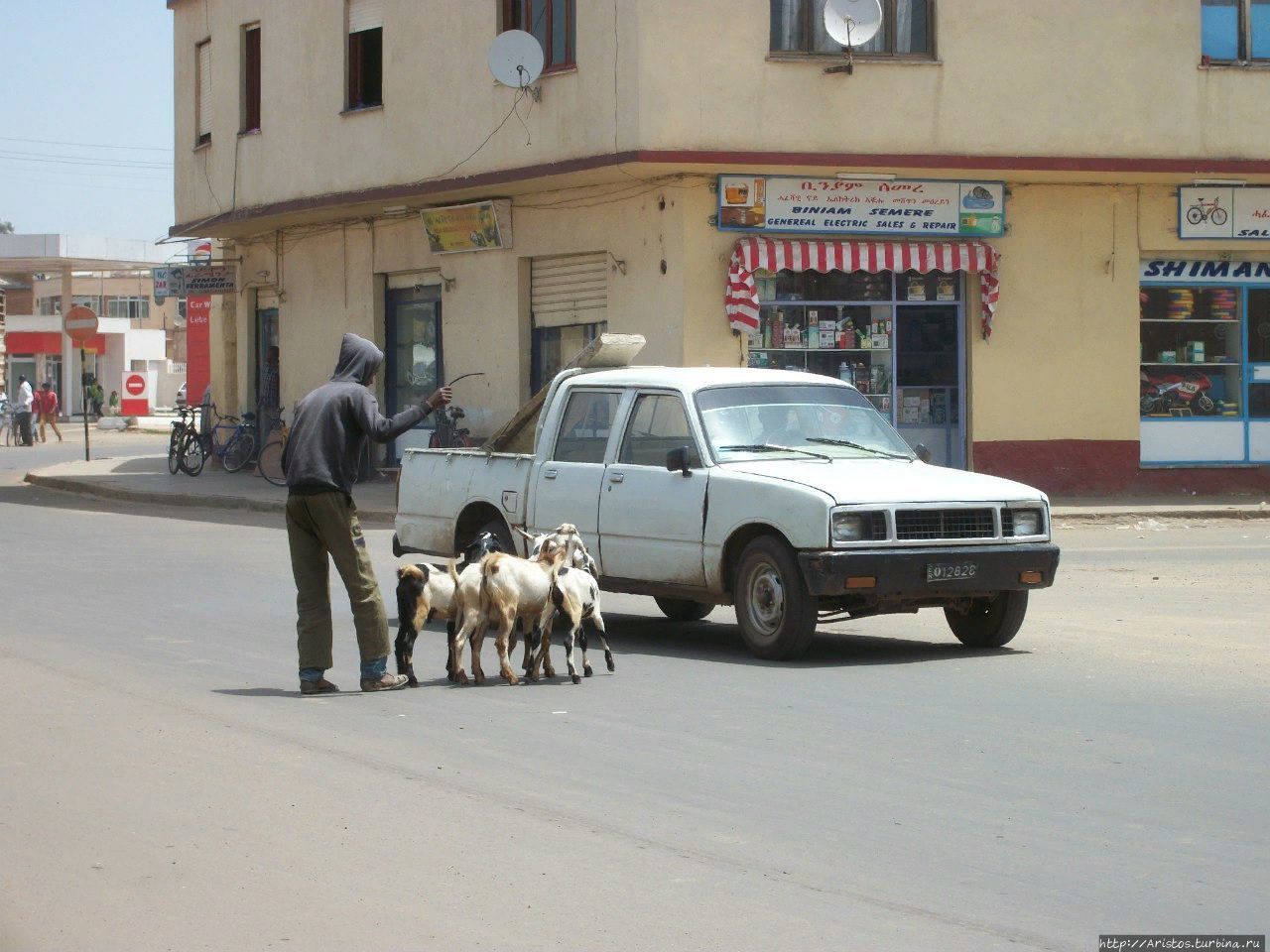 Как я провел этим летом в стране козлов Асмэра, Эритрея