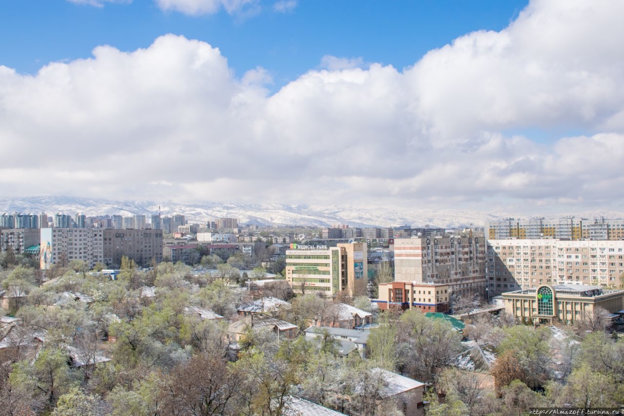 Горы в карантине! Иле-Алатауский Национальный Парк, Казахстан Горы в карантине! Иле-Алатауский Национальный Парк, Казахстан