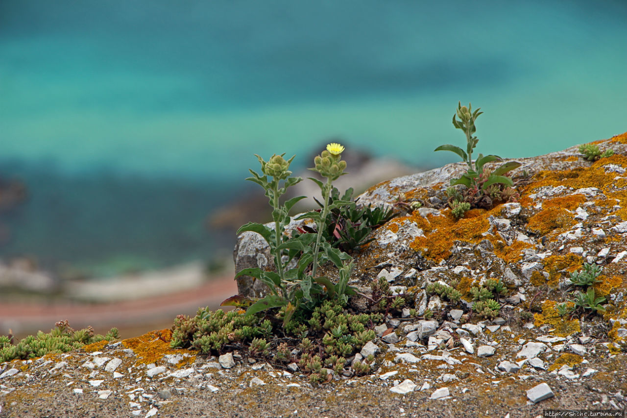 Акватория Аппэ Рок Природный Парк, Гибралтар
