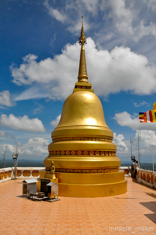 И вот, наконец, мы на вершине. Весь путь проходил по густым зарослям, а наверху позолоченная ступа просто ослепляет, отражаясь на солнце. На фото видны прожекторы, которые подсвечивают всю эту красоту в темное время суток.