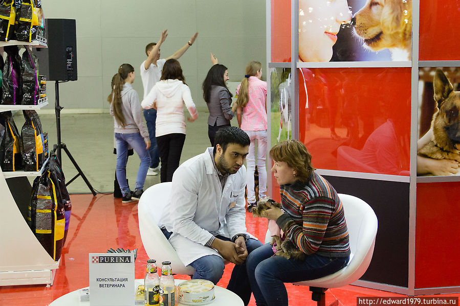 Выставка собак, Россия-2012 Москва, Россия