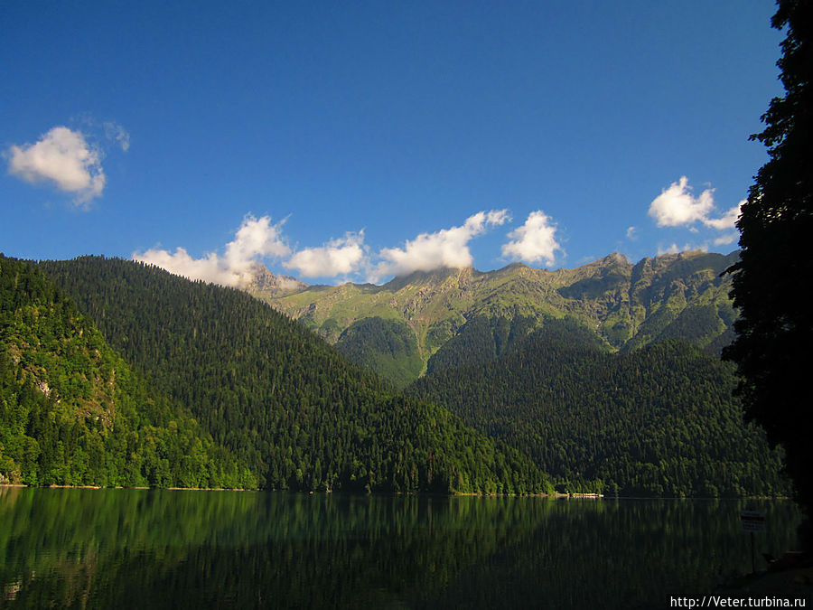 Вода в Рице многих оттенков темно-зеленого цвета. Это объясняется тем, что воды озера в разных местах имеют различную степень прозрачности.