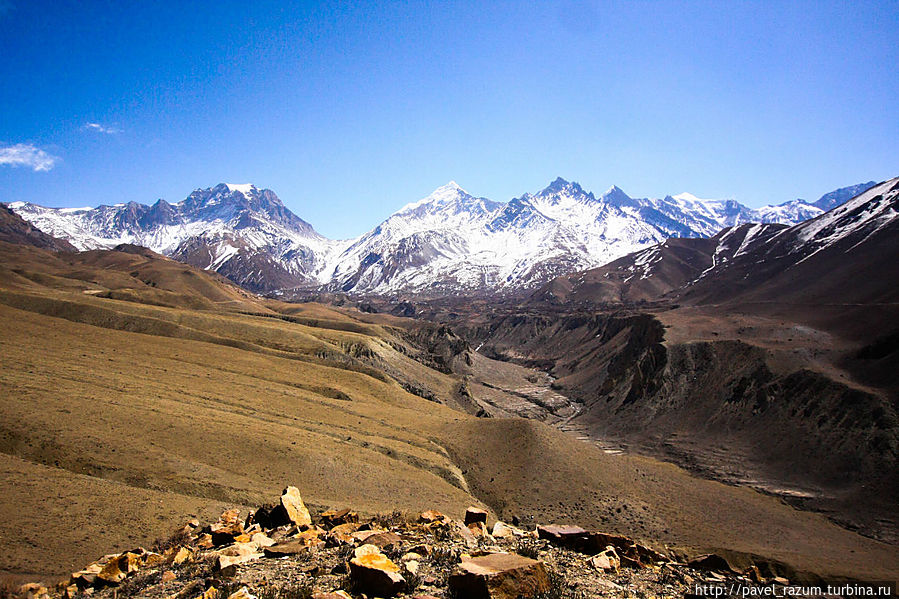 Между двумя снежниками — перевал Тхоронг Ла (5416 метров) — один из самых высокогорных перевалов в мире Муктинатх, Непал