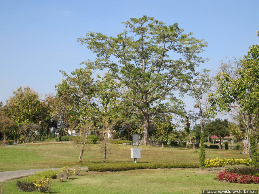 Nong Prachak Public Park Удон-Тани, Таиланд